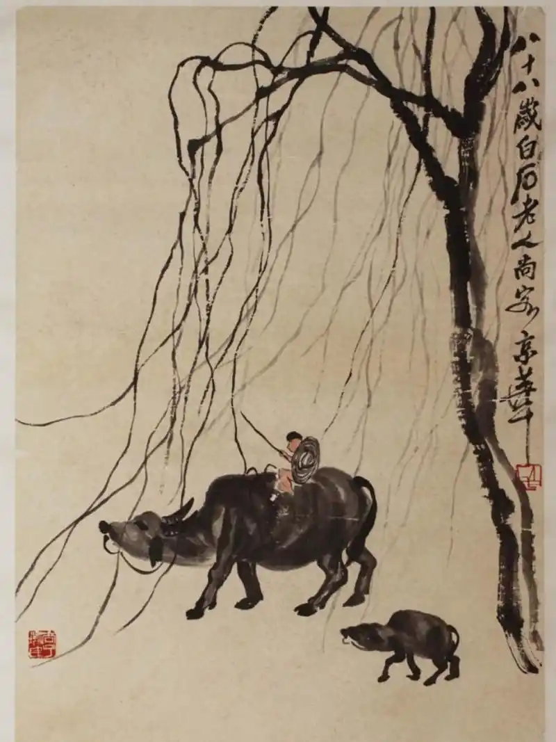 齐白石的牛 这幅《牧牛图》是白石爷爷八十八岁画的——细劲的柳枝触