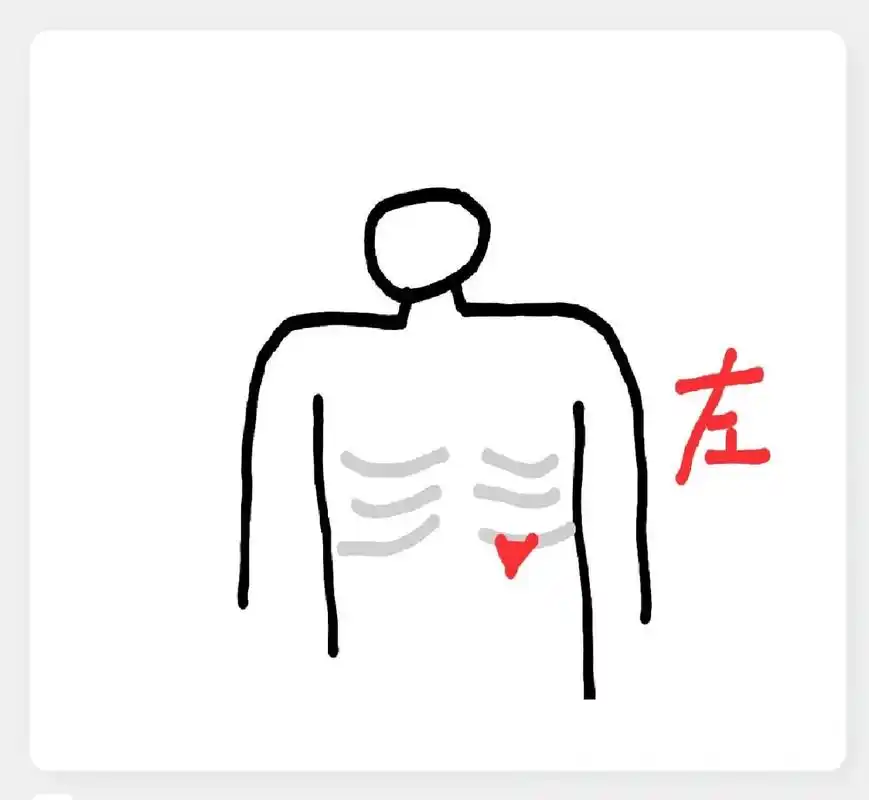 左侧肋骨下面疼 时不时的就会左侧肋骨下面疼,像是有一口凉气一样,疼