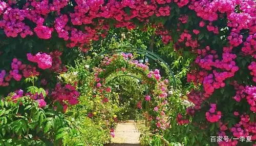 巴黎南郊的这座玫瑰园,带你进入唯美浪漫的法式童话世界