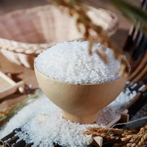 海安大米苏北大米当季新米 1kg装