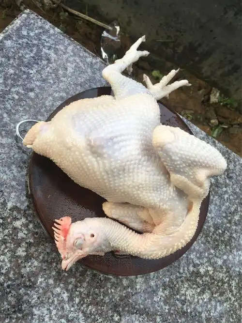 刚刚山上现抓现杀正宗龙门胡须鸡.