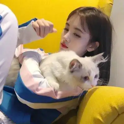 抱猫女头像高清好看可爱的女生抱猫头像高清图片