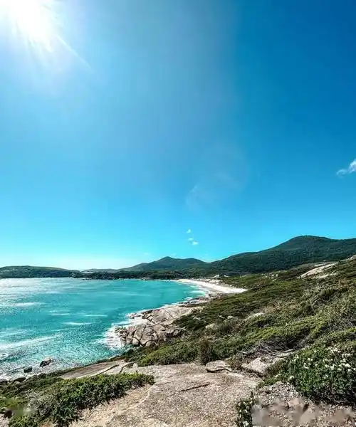 澳洲十大最佳海滩揭晓,top 1在维州_beach_island_farmer