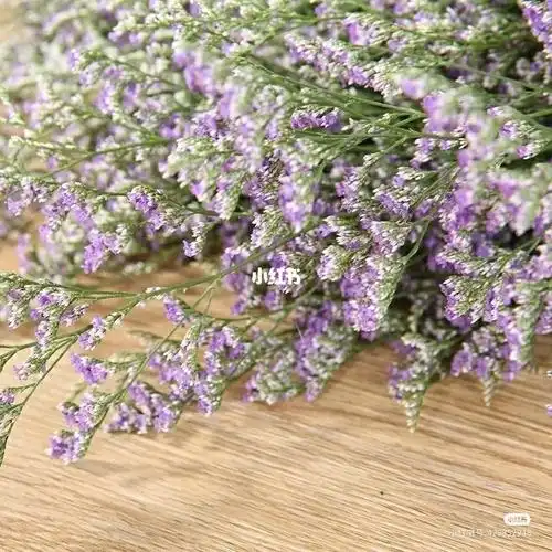 所以,情人草的花语是"完美爱情",象征着永不