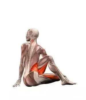 如何拉伸大腿肌肉?了解股四头肌拉伸,脊柱扭转练习动作