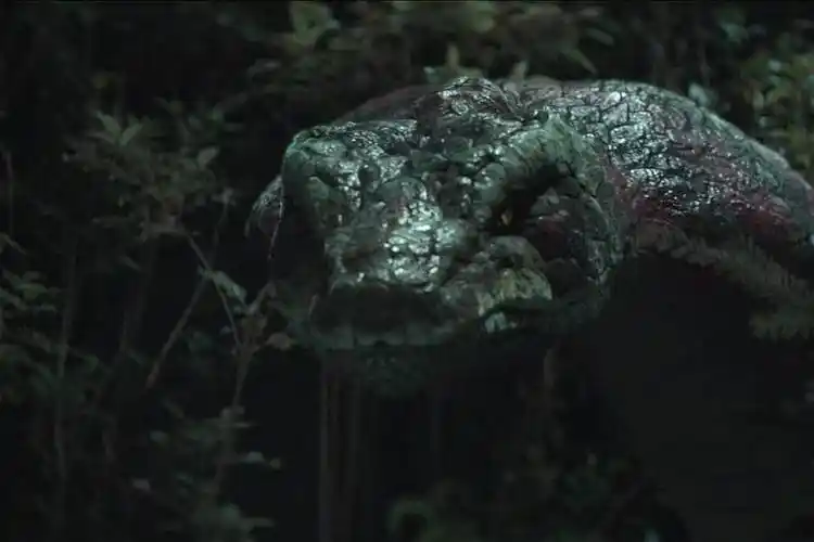 这么大的野鸡脖子成精了