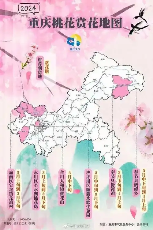 全国春日赏花地图来啦!好客山东正在"美美绽放"_腾讯新闻