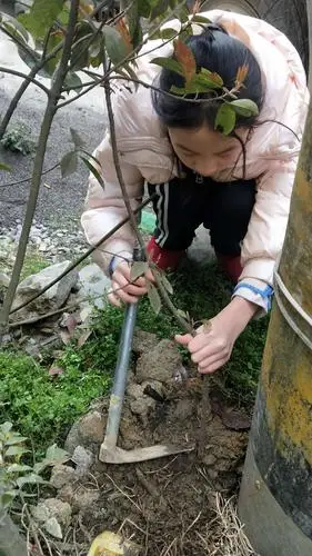 植树节,我们和小树一起成长!