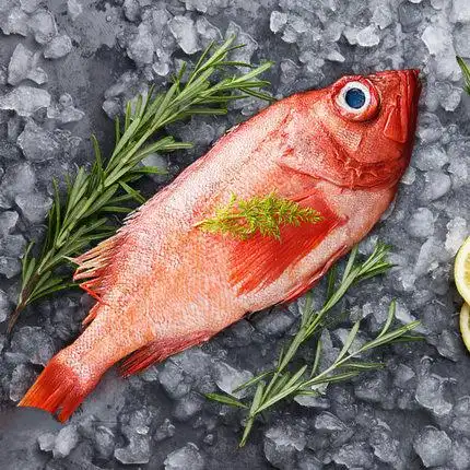 特惠装新西兰深海红斑鱼5条装