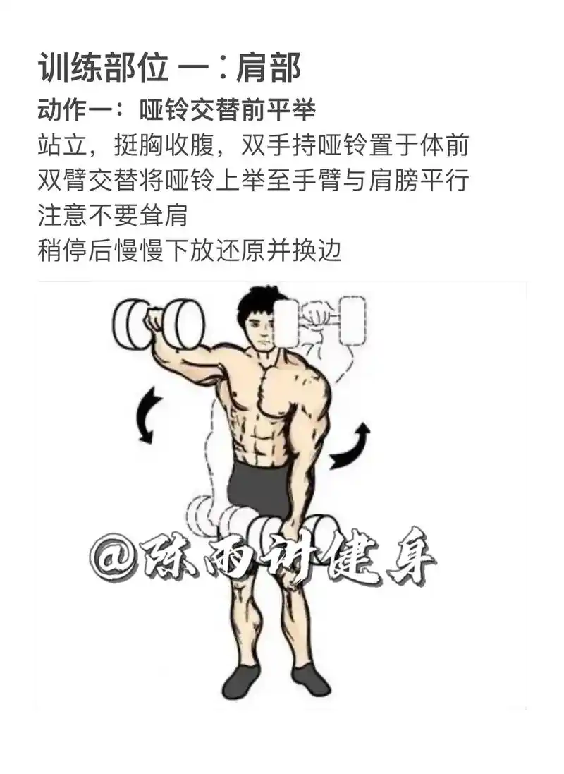 只需一副哑铃就能训练的健身动作教学.