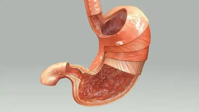 一家三口相继查出胃溃疡,医生:原因是厨房一物,很多人都在用