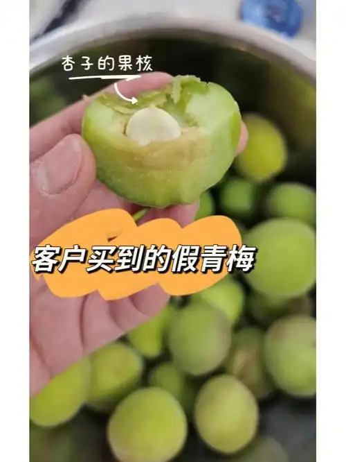 青梅和杏子的区别
