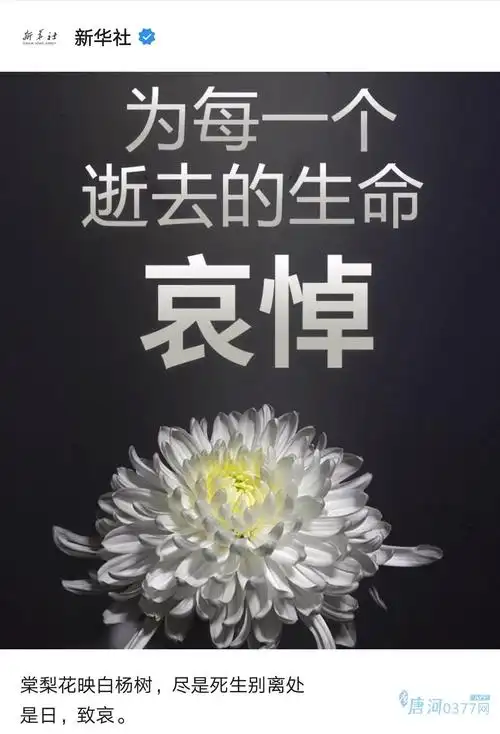 今日清明,中国人要祭奠逝者,缅怀先烈.