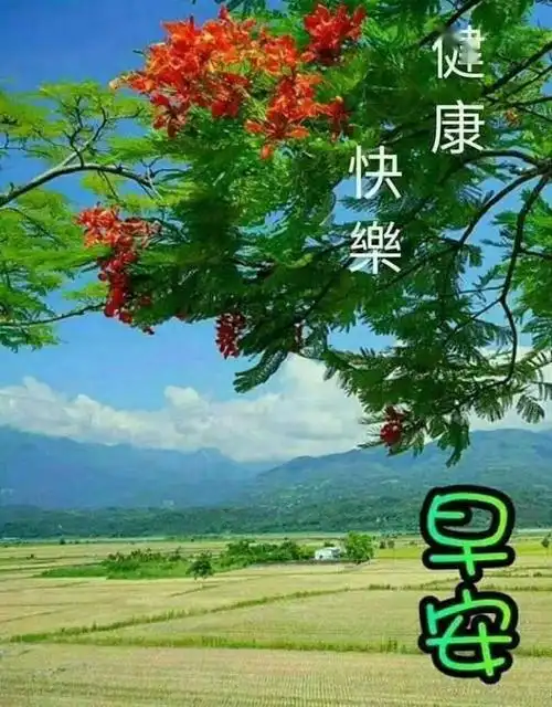 早上好图片大全表情包早上好问候语文字带阳光图片