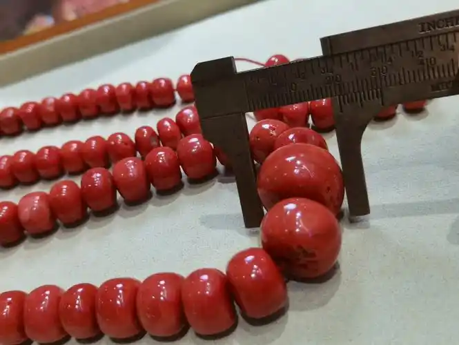 藏式红珊瑚项链 意大利沙丁的大鼓珠 直径10mm到20mm