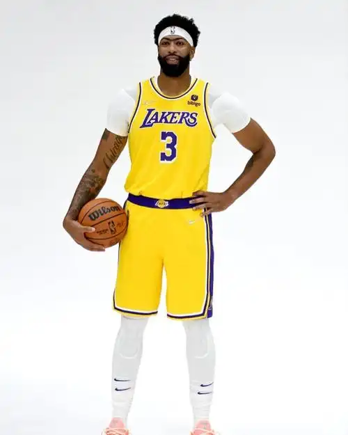 群星云集!湖人全队定妆照合集:詹姆斯浓眉威少领衔