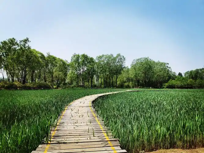 太原汾河湿地公园