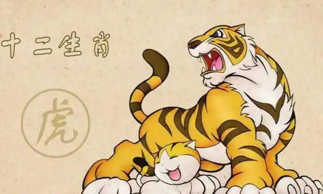 1986年是丙寅年,丙寅年出生的人生肖属虎,五行属火,是炉中火命.