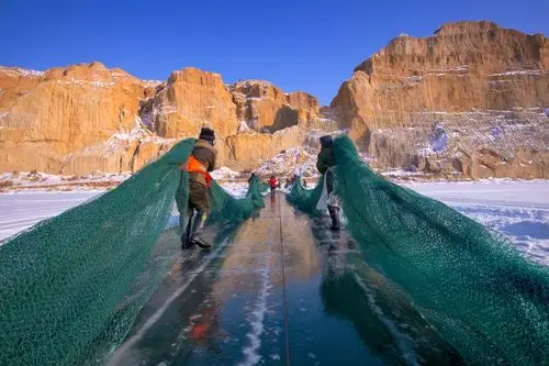 新疆福海——冬捕