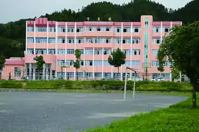 我的图片_一米阳光的论坛个人空间_三穗论坛