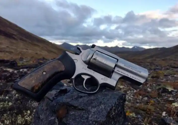 用来狩猎棕熊的手枪,口径有多大?动能又得多可怕?