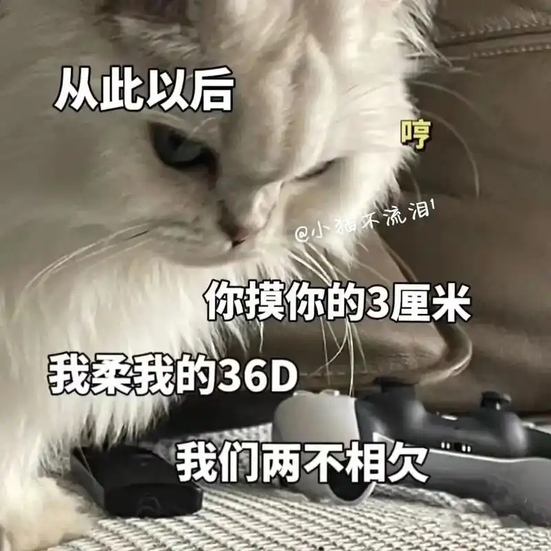套路男朋友的表情包#表情包 #猫咪表情包 #发给对象表情包 - 抖音