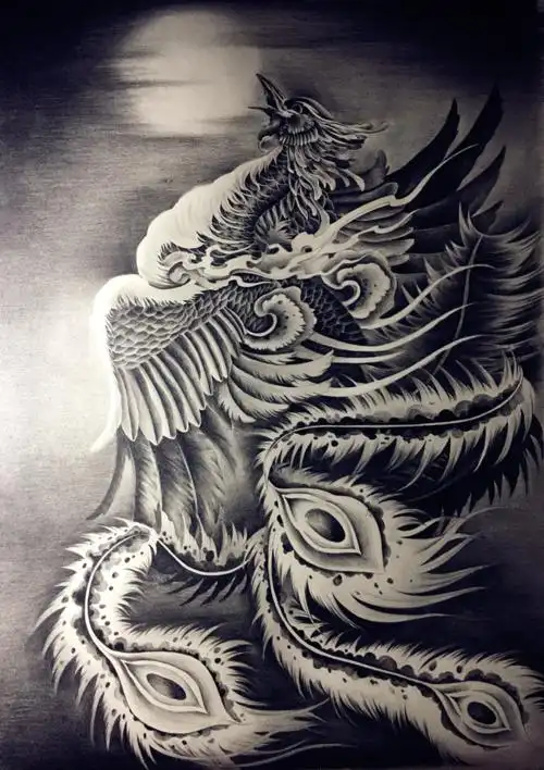 凤凰素描图片大全 凤凰素描图片大全步骤