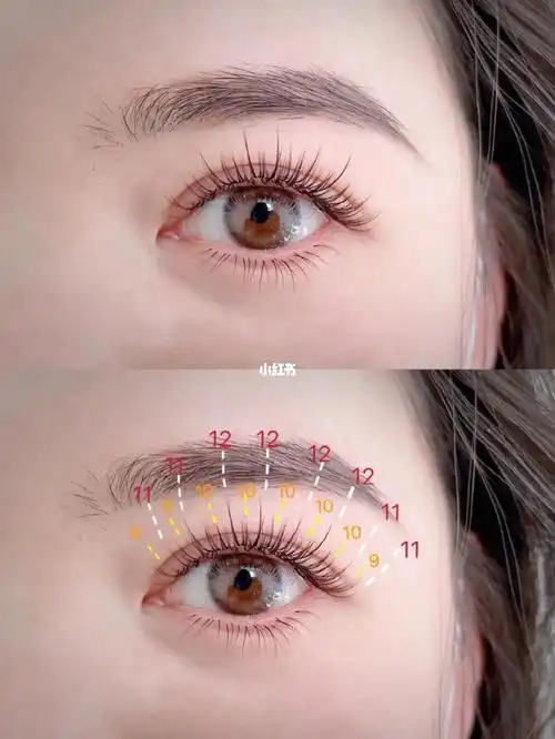 太阳花款睫毛嫁接教程