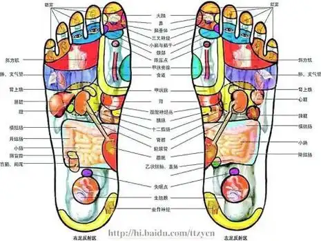 人老脚先老 养生先养脚