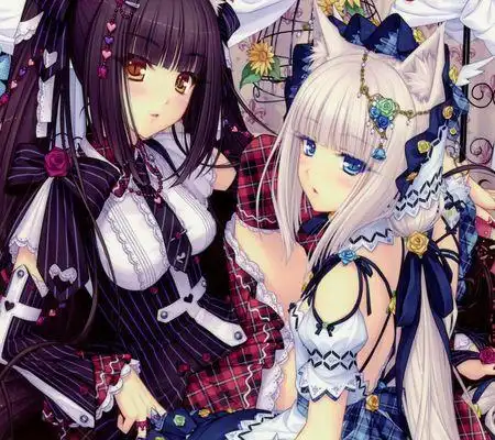 有一对黑白少女双子,有点猫的感觉,求是什么动漫