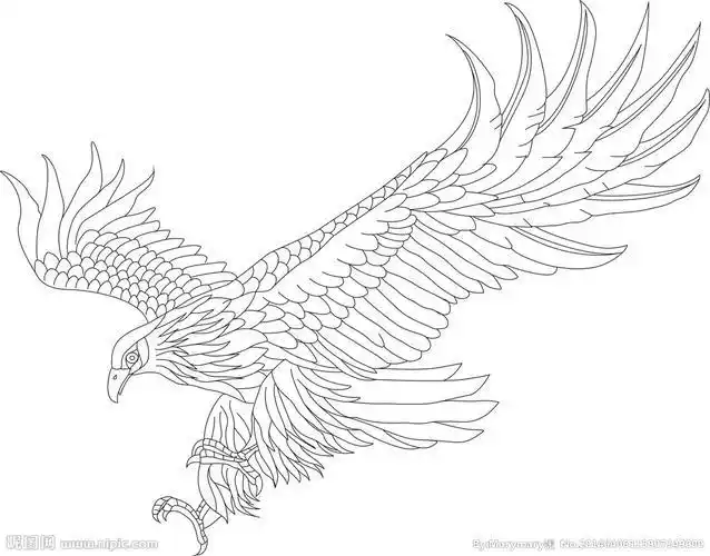 关于雄鹰的简笔画