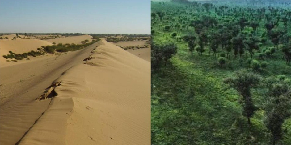 毛乌素沙漠前后对比