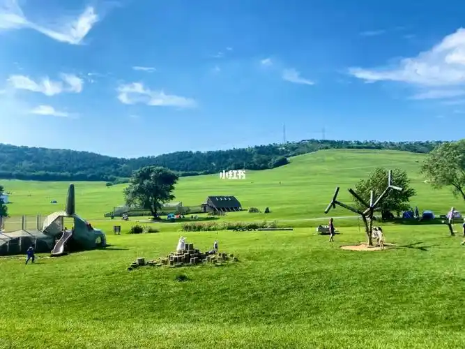 大连的草原牧场98三寰牧场96