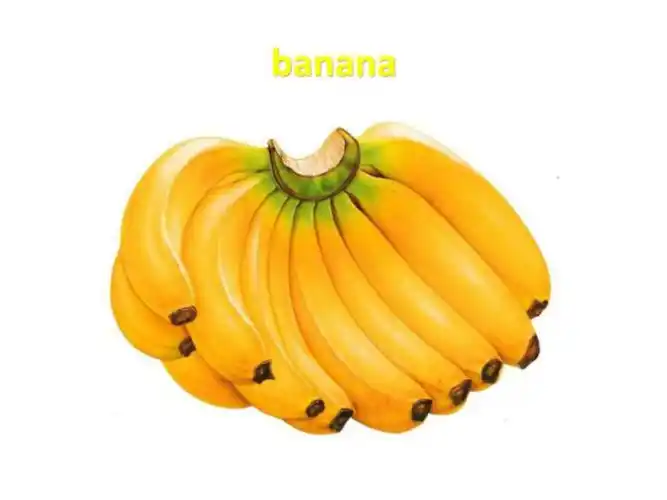 高清水果图英语单词卡