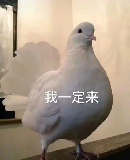 我一定来(鸽子表情包)_鸽子_一定表情