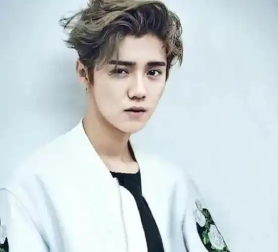 如今的鹿晗已经不再是那个年轻的小鲜肉了,他的年龄和颜值都不再是