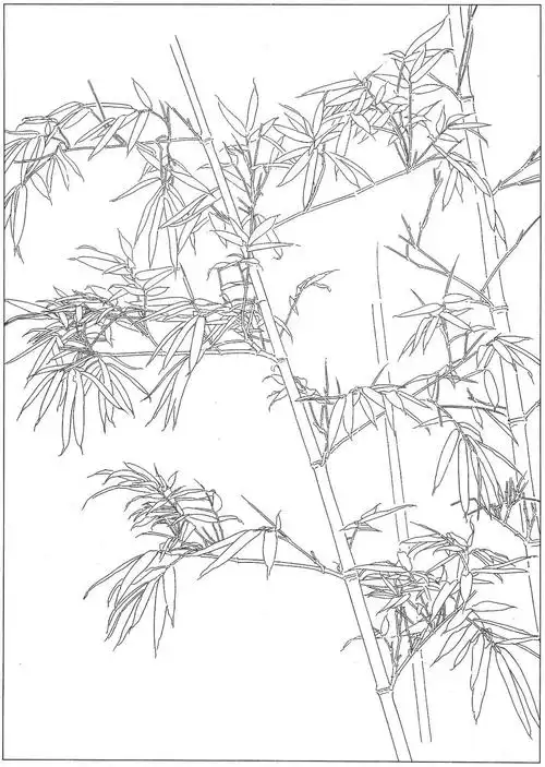 竹之高雅即心之高雅高清白描竹子图