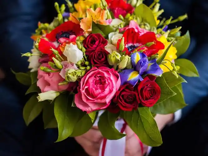 花束,鲜花,洋桔梗,鸢尾花,玫瑰