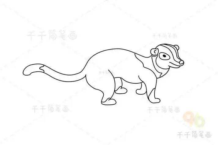 果子狸耳朵简笔画