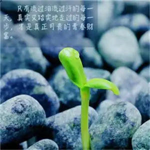 励志头像图片大全