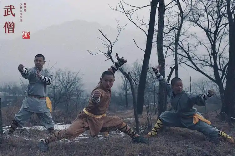 真实的少林武僧:飞檐走壁是别人想的,武功是真练出来的