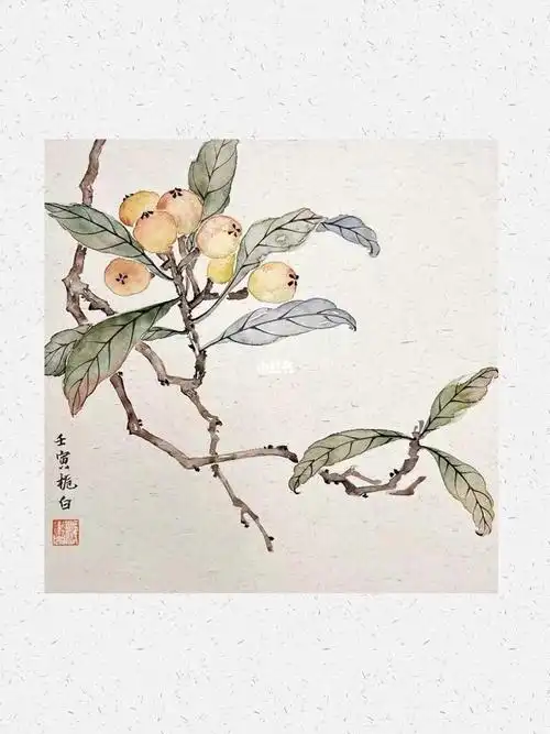 视频薯@人文薯#传统文化   #国画   #写意国画   #写意国画   #枇杷