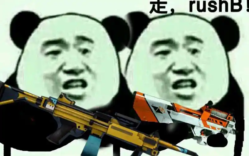 【csgo】当一个csgo菜b新手拥有内格夫时.