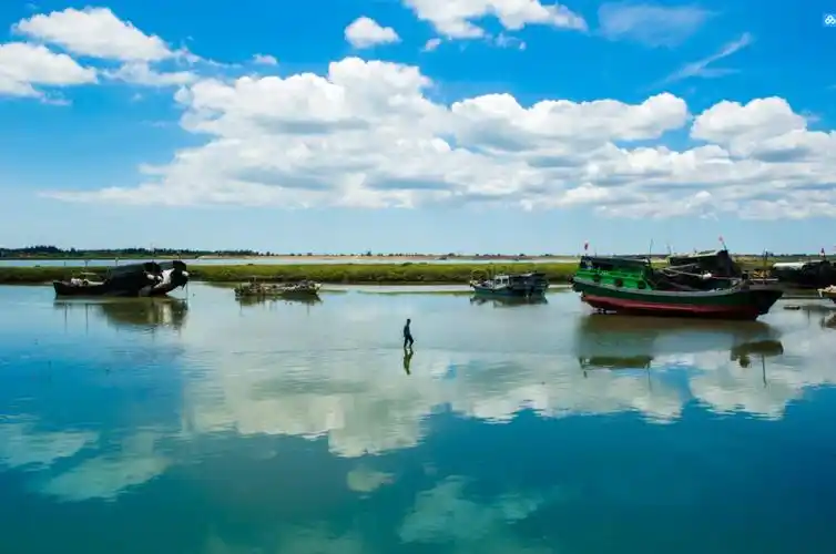 徐闻县和安镇红树林  陈北跑 摄