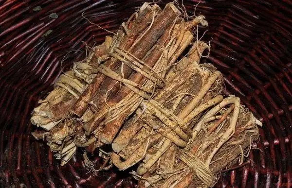 五指毛桃酒的功效和制作方法