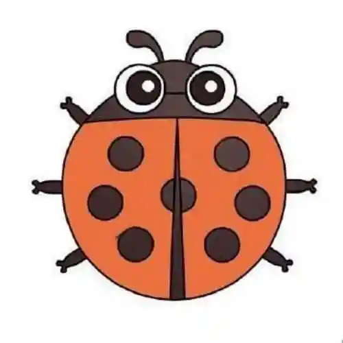 七星瓢虫简笔画简单又帅气 七星瓢虫简笔画儿童画教程