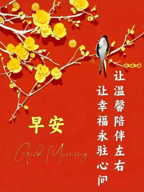 最新版早上好温馨祝福唯美问候图片新的一天平安喜乐万事如意