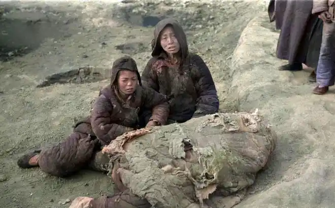 老照片1942年河南大饥荒真实记录灾民当街啃食树皮