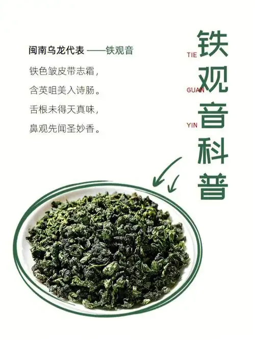 每天了解一款茶铁观音