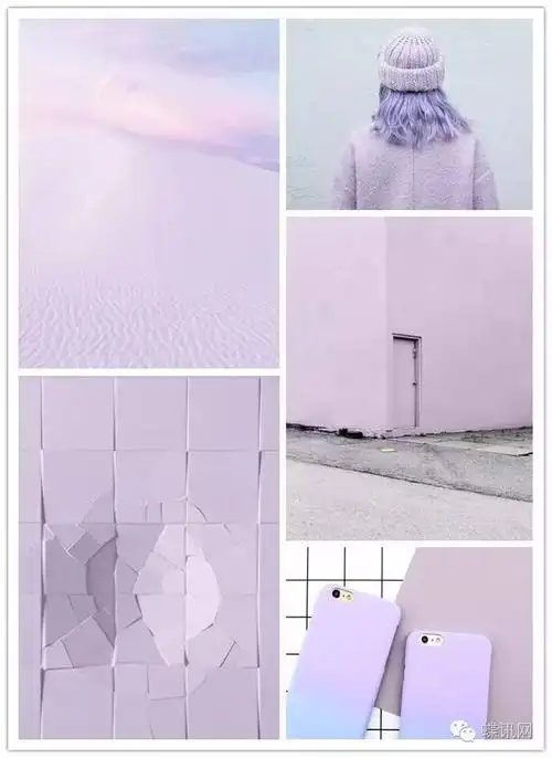 色彩趋势17春夏流行色之香芋紫